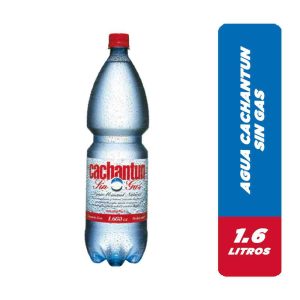 AGUA 1.6 LT CACHANTUN S/GAS